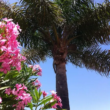 La Datura Сasa de vacaciones