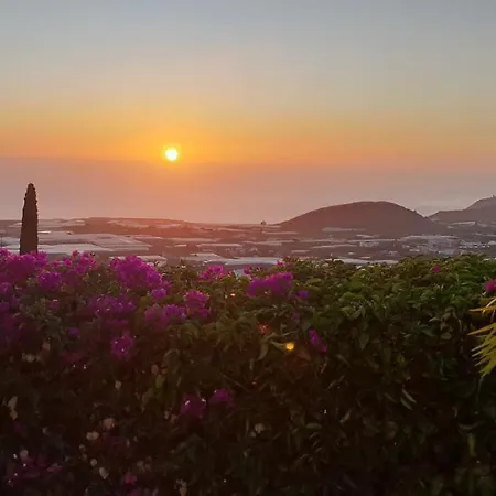 La Datura El Paso